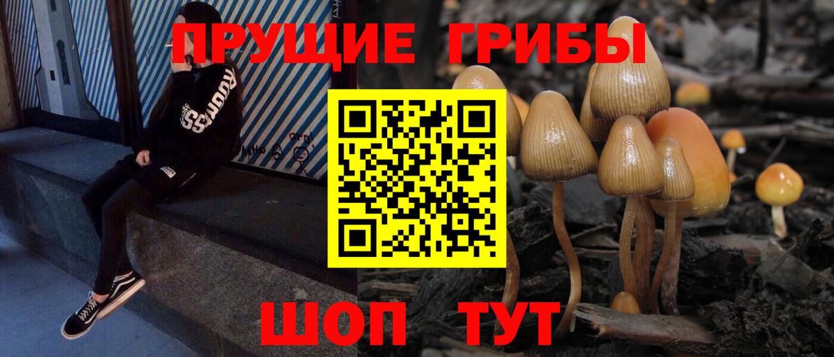 Галлюциногенные грибы GOLDEN TEACHER  Вход с VPN  Ишимбай  Псилоцибиновые грибы мухоморы 